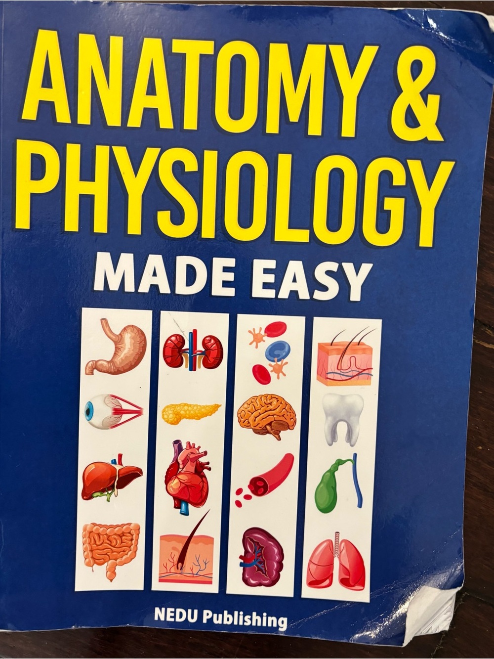 Anatomy & Physiology Made Easy - Blue Illustrated Textbook
